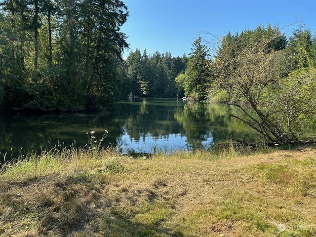 9009 Miller Rd NE, Bainbridge Island, WA 98110 - photo 13