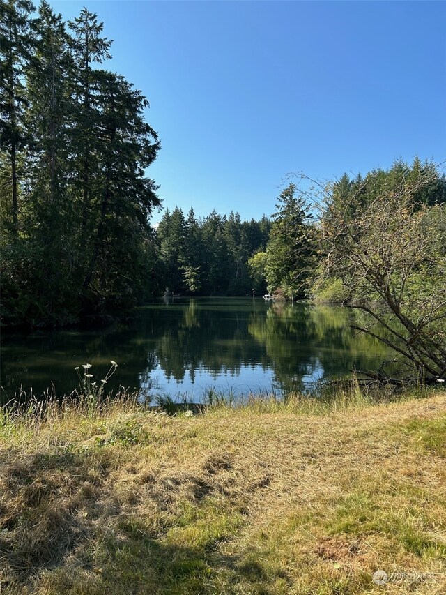 9009 Miller Rd NE, Bainbridge Island, WA 98110 - photo 14