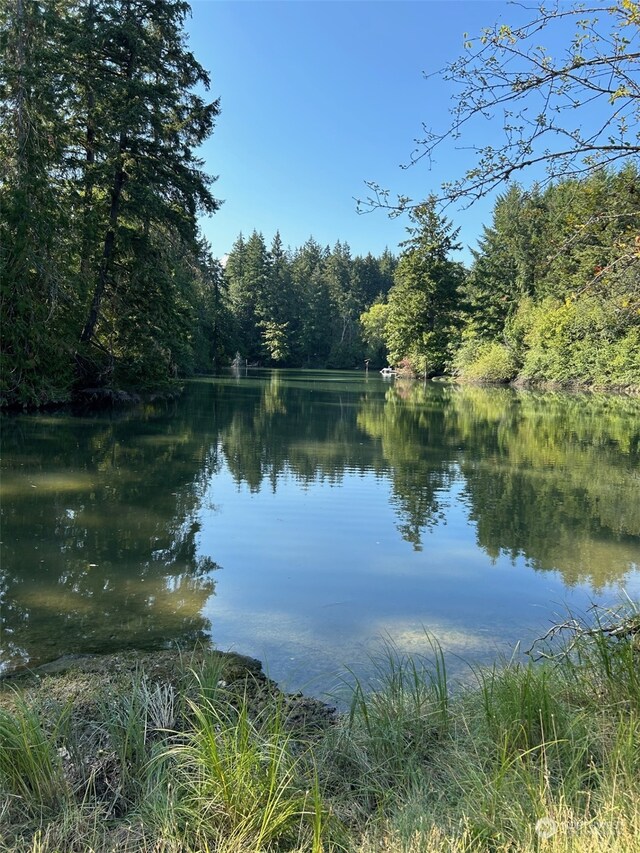 9009 Miller Rd NE, Bainbridge Island, WA 98110 - photo 15