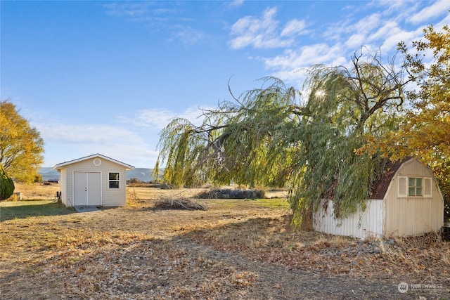 view of yard with a shed