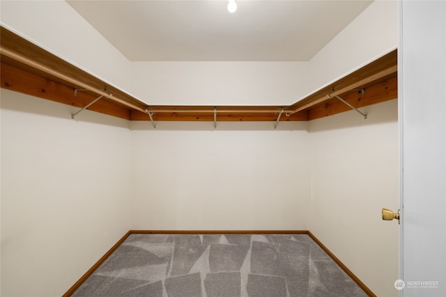 walk in closet featuring carpet