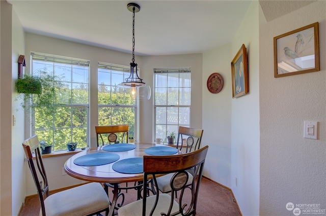 view of carpeted dining room