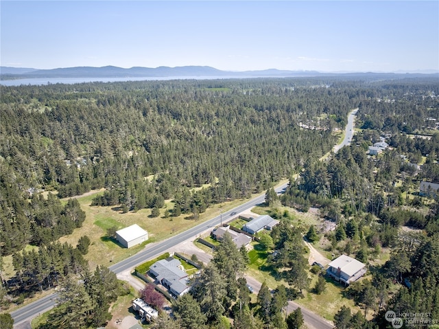 birds eye view of property with a mountain view