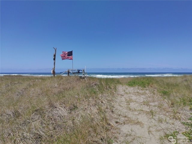 water view featuring a beach view