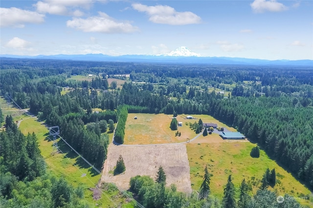 32010 22nd Ave S, Roy WA, 98580 land for sale