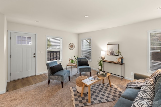 living room with wood-type flooring