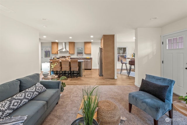 living room featuring sink and light wood-type flooring