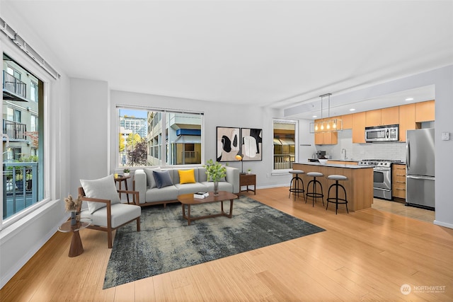 living room with light hardwood / wood-style floors and sink