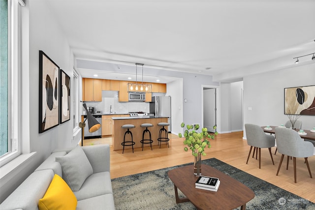 living room with light wood-type flooring and sink