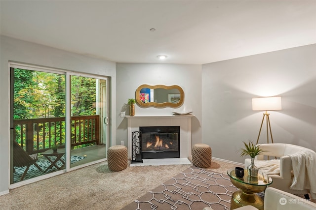 sitting room with carpet