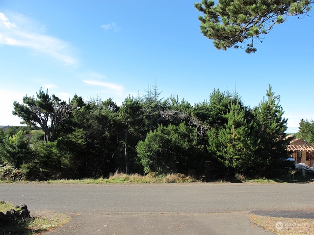 31311 J Pl, Ocean Park WA, 98640 land for sale