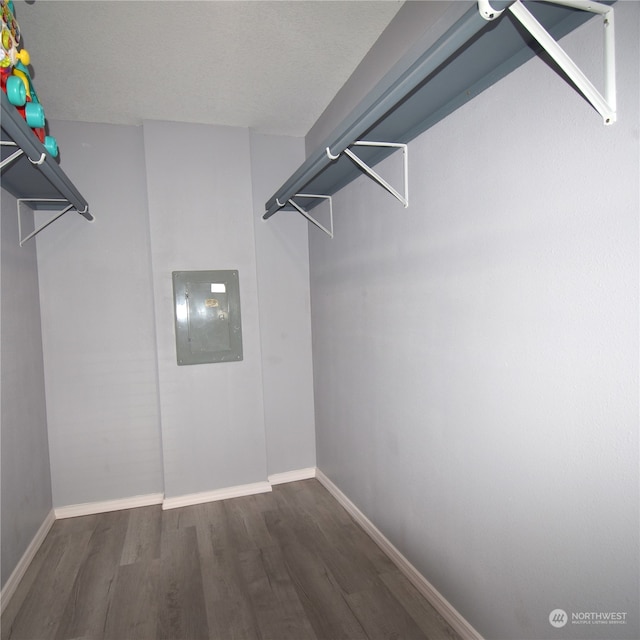 spacious closet featuring electric panel and dark hardwood / wood-style floors