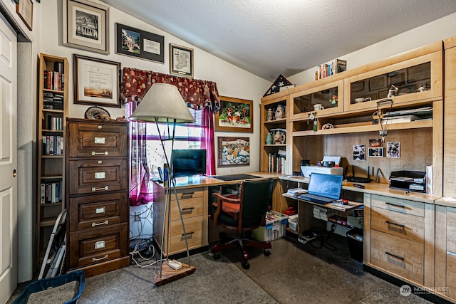 carpeted office space with lofted ceiling and a textured ceiling