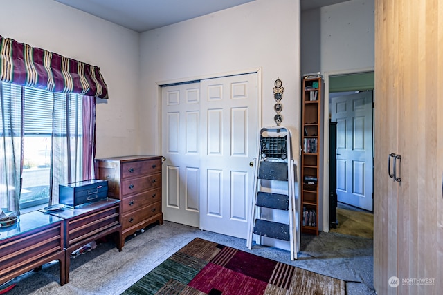 carpeted bedroom featuring a closet