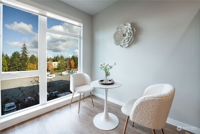 sitting room with hardwood / wood-style flooring and plenty of natural light