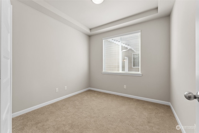 carpeted spare room featuring a raised ceiling and baseboards