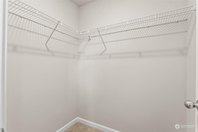 spacious closet with carpet flooring