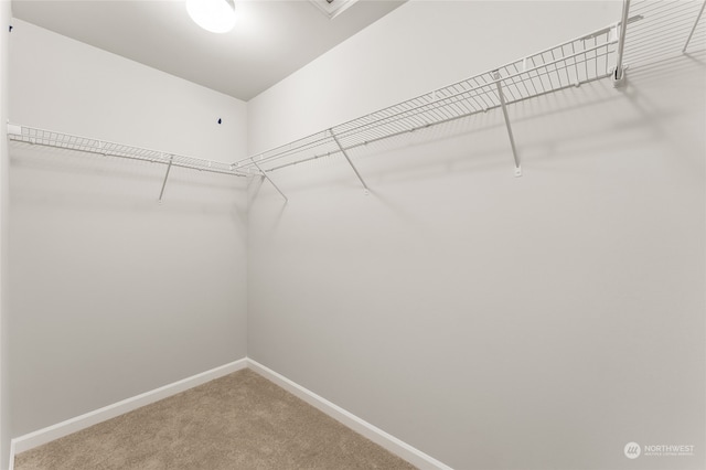 walk in closet with carpet