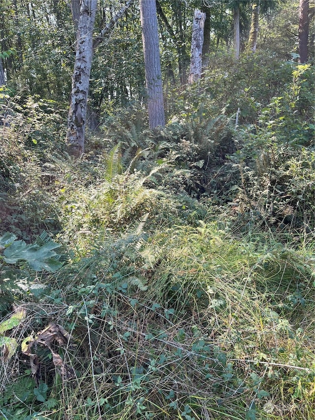 52XX E Harbor Rd, Freeland, WA 98249 - photo 2