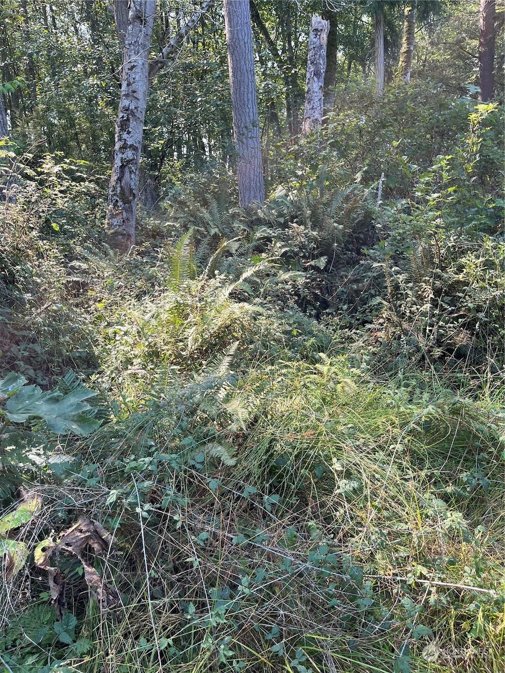 52XX E Harbor Rd, Freeland, WA 98249 - photo 3