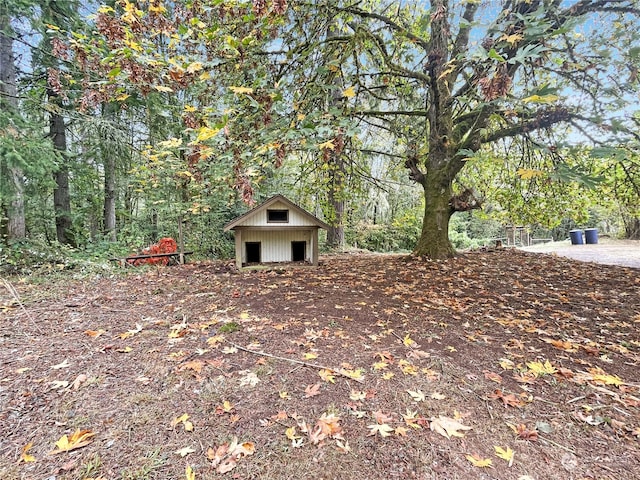 view of yard with a storage unit