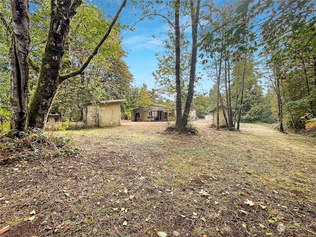 view of yard featuring a shed