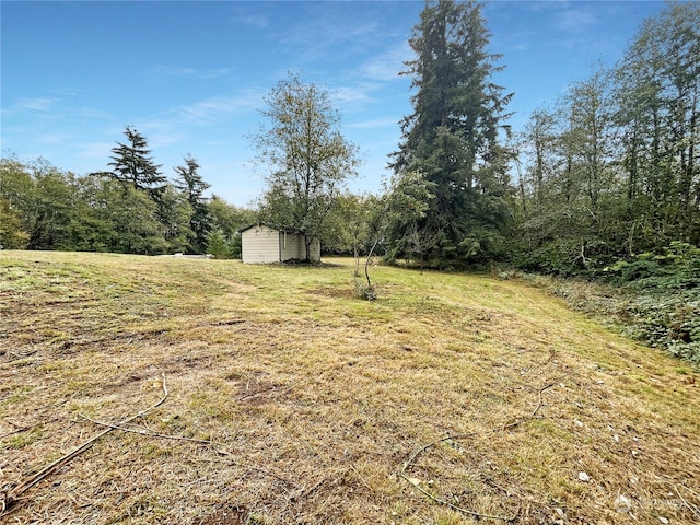 view of yard with a shed