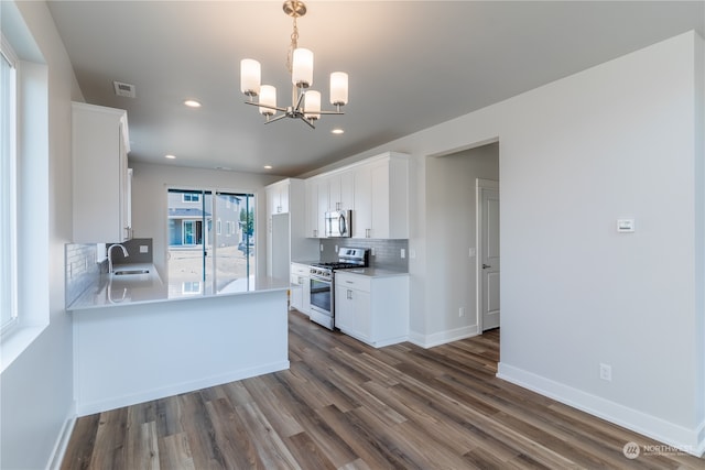 kitchen with white cabinets, dark hardwood / wood-style floors, and stainless steel appliances