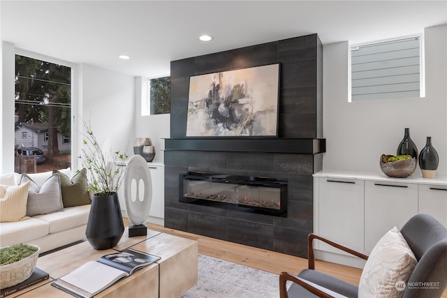 living room featuring light hardwood / wood-style floors and a fireplace