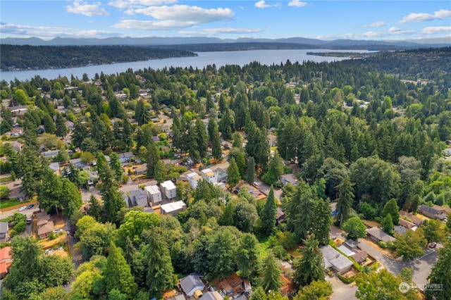 birds eye view of property featuring a water and mountain view