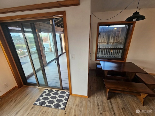 entryway featuring hardwood / wood-style flooring