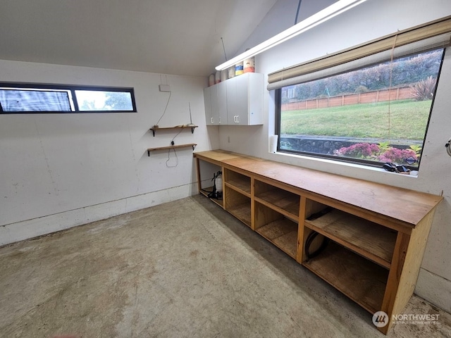 basement with a workshop area and a healthy amount of sunlight