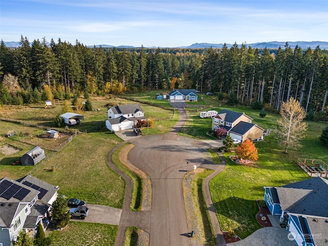 aerial view