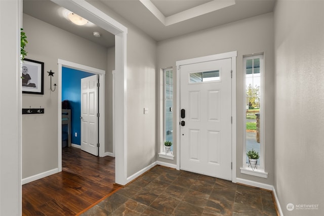 foyer entrance featuring dark wood-type flooring