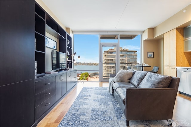 living room with floor to ceiling windows, light hardwood / wood-style flooring, and plenty of natural light