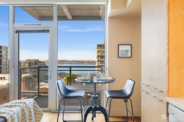 interior space featuring light wood-type flooring, floor to ceiling windows, and a water view