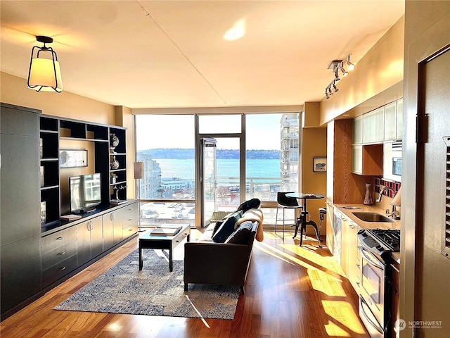 living room featuring sink, hardwood / wood-style flooring, and floor to ceiling windows