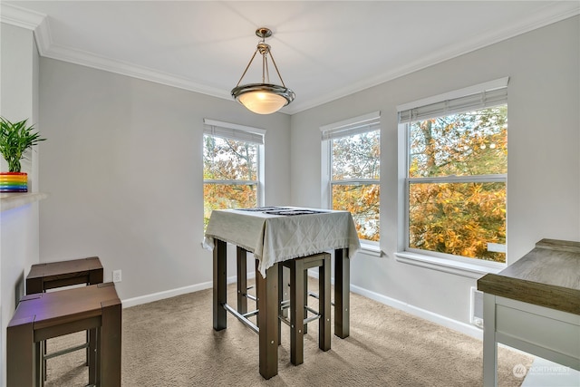 dining area with crown molding and light colored carpet