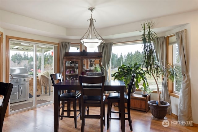 dining area featuring a healthy amount of sunlight and wood-type flooring