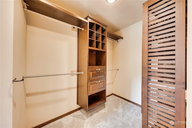 spacious closet featuring light colored carpet