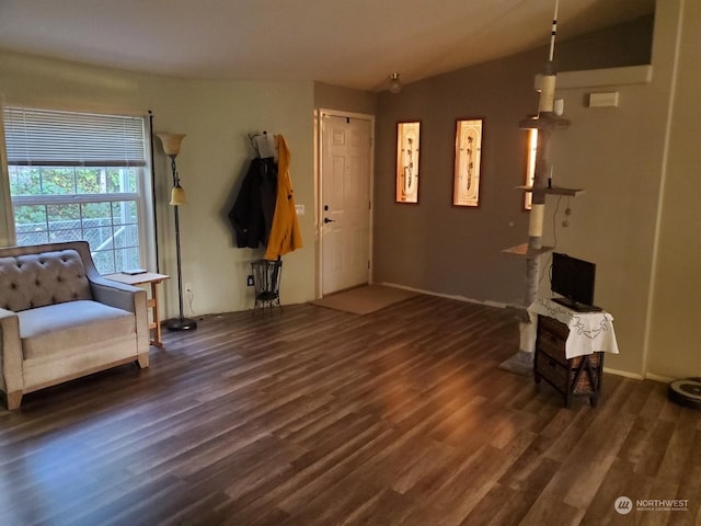 interior space featuring dark wood-type flooring and vaulted ceiling