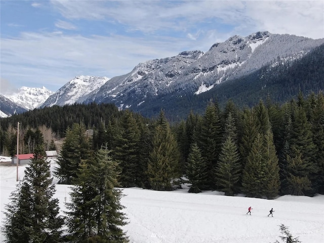 property view of mountains