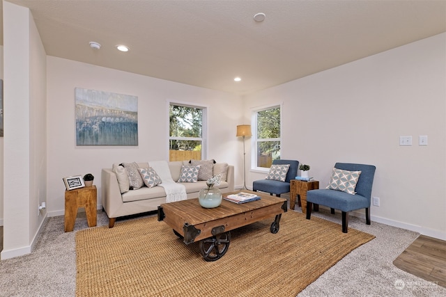 view of carpeted living room