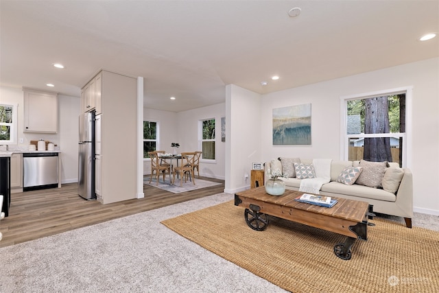 living room with light wood-type flooring