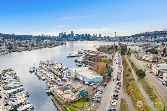 drone / aerial view with a water view