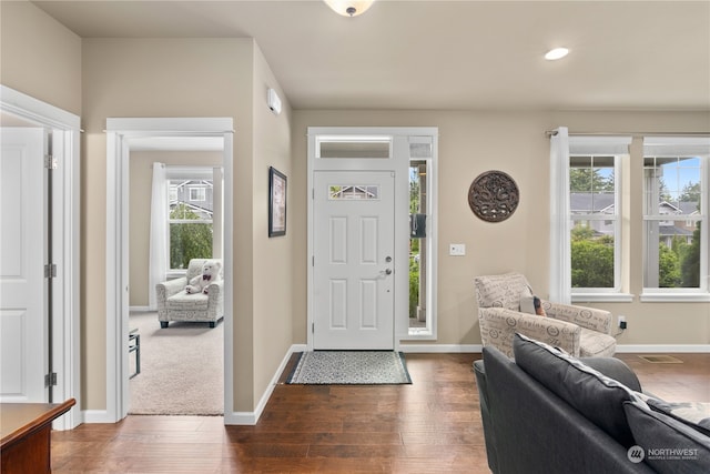 foyer entrance featuring dark hardwood / wood-style flooring