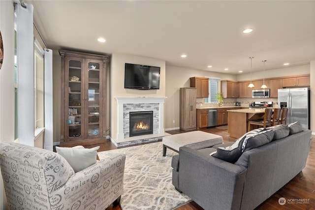 living room featuring a stone fireplace and dark hardwood / wood-style flooring