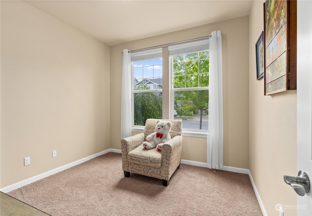 sitting room with carpet flooring