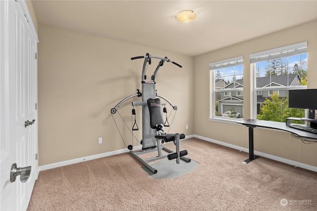 workout room featuring light carpet