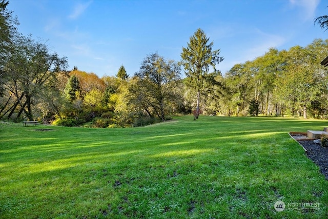 view of community with a lawn